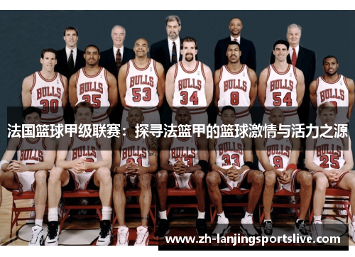 法国篮球甲级联赛：探寻法篮甲的篮球激情与活力之源
